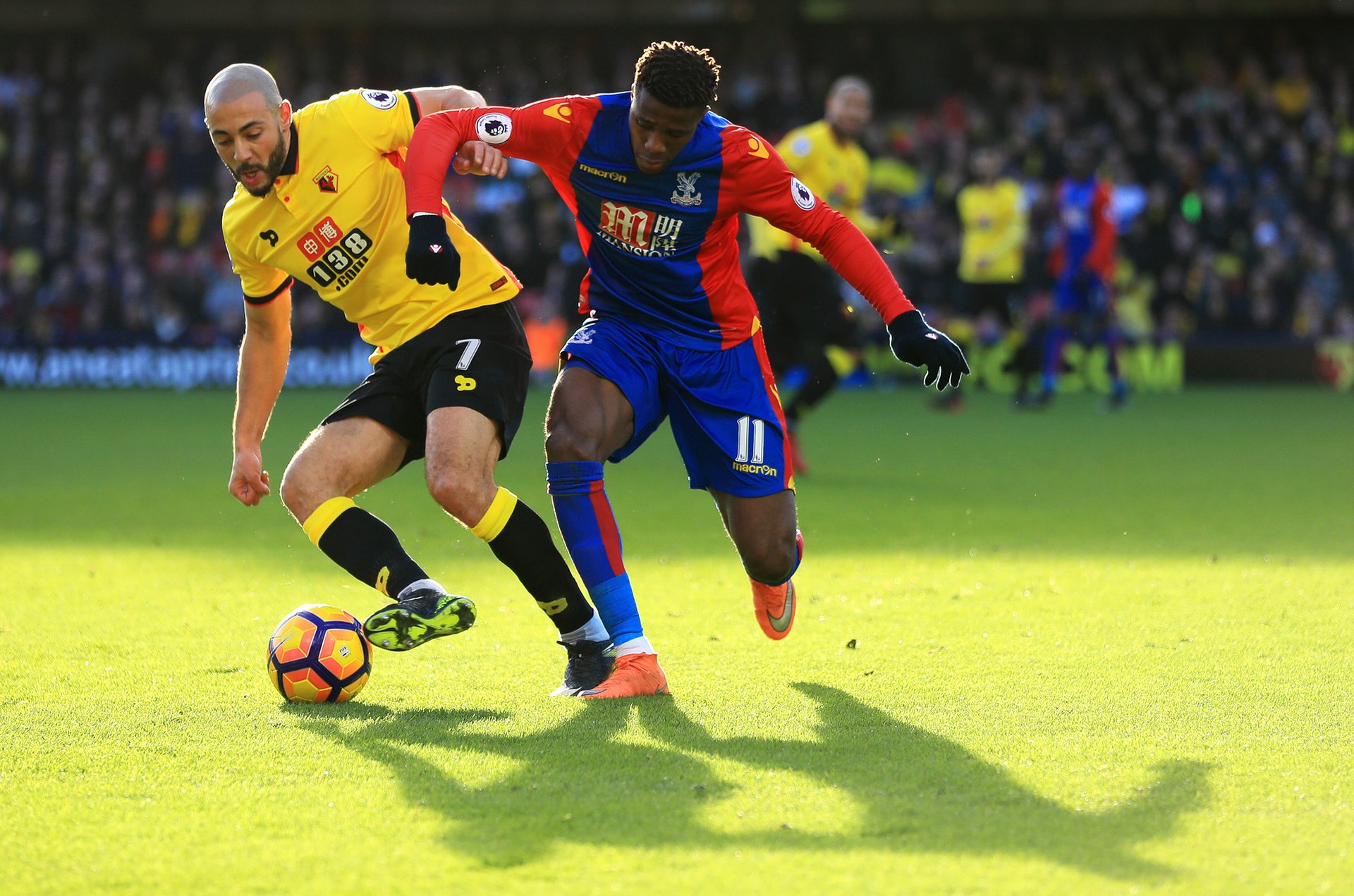 教练在比赛 教练在比赛